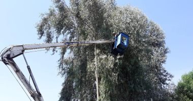 تركيب وتشغيل إضاءة الكشافات بمداخل الوحدات المحلية بأسوان
