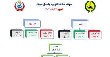 شمال سيناء تسجل صفر إصابات بكورونا