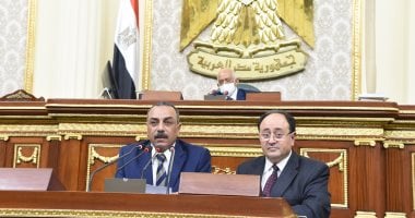 صور.. البرلمان يوافق مبدئيا على مشروع قانون صندوق دعم الأشخاص ذوى الإعاقة
