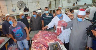 الأوقاف: مشروع صكوك الأضاحى وفر 500 فرصة عمل للعمالة غير المنتظمة.. صور