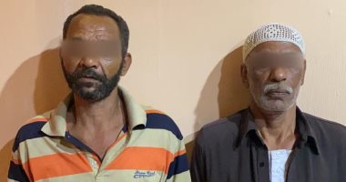 صور.. تفاصيل قتل "حصان" على يد صاحب عربة كارو وعاطل