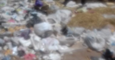 سيبها علينا..قارىء يشكو من انتشار القمامة ومخلفات الطيور بالمنصورة