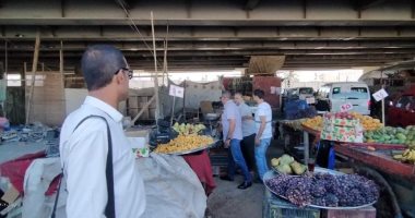 صور.. حملة مكبرة لرفع الإشغالات أسفل كوبرى العامرية غرب الإسكندرية 