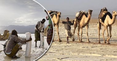 صور.. حكايات "وادى بلى" وطريق الملح بالبحر الأحمر.. قبلة محبى السفارى وعشاق الجيولوجيا على مدار 600 سنة.. كانت تمر منه الإبل لنقل الملح إلى الصعيد.. نقيب المرشدين :حقق شهرة عالمية فى إستقبال عشاقه من دول العالم
