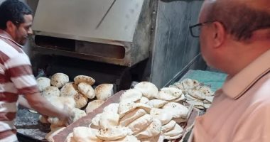جولات بالإسكندرية لمتابعة منظومة انتظام الخبز الجديدة لليوم الثانى (صور)