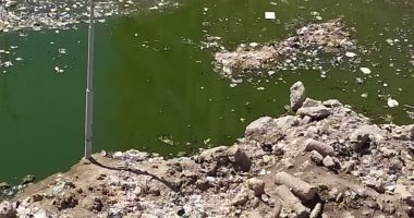 قارئ يشكو اختلاط القمامة بالصرف الصحى فى شارع المحكمة كفر الدوار بالبحيرة