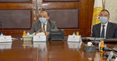 وزيرا التنمية المحلية وقطاع الأعمال العام يبحثان تطوير محطات شحن السيارات الكهربائية
