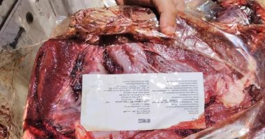 ضبط مخزن مواد غذائية بمنوف والتحفظ على 314 كيلو لحوم فاسدة بالمنوفية