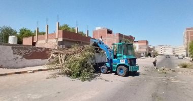 رفع 20 طن مخلفات نظافة وتجريد الأرصفة فى حملة على أحياء مدينة سفاجا.. صور