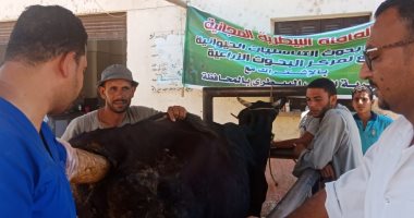 صور.. بهدف تحسين السلالات وزيادة الإنتاج.. "الزراعة" تستعد لموسم التلقيح الاصطناعى للماشية.. عمل سونار  بالمجان ودفع قوافل بيطرية لعلاج قلة الخصوبة.. دورات تدريبية على الجس والخدمة لحيوانات المزرعة