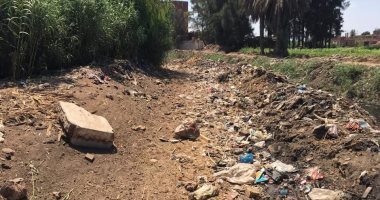 اضبط مخالفة.. سوء حالة المدخل الرئيسي لقرية كفر العايد بالشرقية