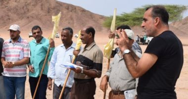 "الزراعة": لجان مسح للجراد الصحراوى بالمناطق الحدودية..وتؤكد: الوضع آمن