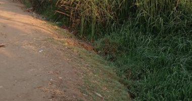 أهالى عزبة الديرى الحصة في القليوبيه يطالبون بتطهير ترعة الجردة
