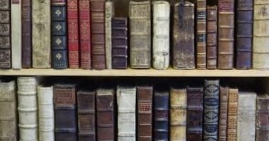 معرض بوسطن الدولى للكتاب يتحدى كورونا وينطلق فى نوفمبر عبر الإنترنت
