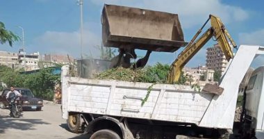 صور.. رفع 1365 طن قمامة وصيانة 419 كشاف إنارة في البحيرة والغربية