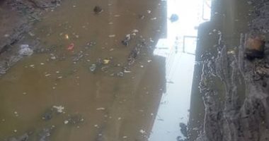 قارئ يشكو من انتشار مياه مجهولة المصدر  بشارع حشاد بقرية غمرين بالمنوفية