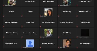 جامعة حلوان تنظم ويبينار علمى للتعريف بمبادرة التعليم العالى لمنح الدراسات العليا
