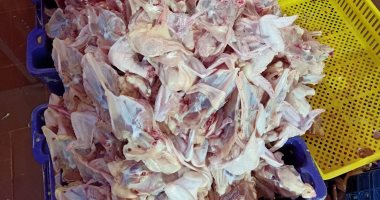 ضبط 3 أطنان هياكل وجلد دواجن منتهية الصلاحية داخل مجزر فى الشرقية.. صور