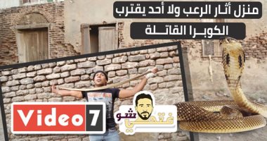 أشهر صائد زواحف بمصر الكوبرا الذكر ممكن يجامع "أنثيين" فى وقت واحد