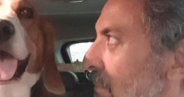 هانى رمزى وفتحى عبد الوهاب يحتفلان باليوم العالمى للكلاب: أحلى الكائنات