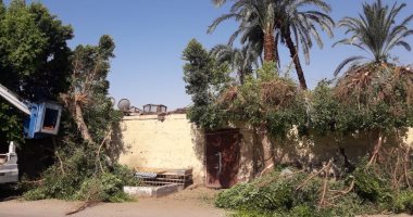 رفع 45 طنا من المخلفات بحملات تجميل للمسارات السياحية بالأقصر.. صور
