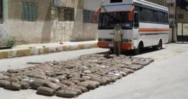 الداخلية تحبط تهريب نصف طن بانجو بقيمة 1.5 مليون جنيه