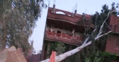 سقوط شجرة على منزل يتسبب فى قطع أسلاك الكهرباء بشبين القناطر