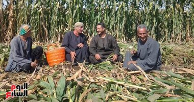 كل ما تريد معرفة عن الاحتفال بعيد الفلاح وقانون الإصلاح الزراعى