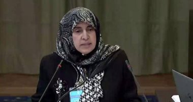 الإمارات: قطع العلاقات مع قطر لا تدخل فى اتفاقية القضاء على التمييز العنصرى 