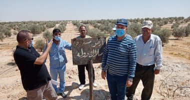 محافظ البحيرة تسحب قطعة أرض بوادى النطرون بمساحة 2531 فدانا