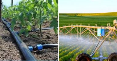 على رأس الغيط.. برامج توعوية لتحديث منظومة الرى بدلا من الغمر بالأراضى الجديدة.. الزراعة: ترشد استهلاك الأسمدة والمياه لزيادة إنتاج الفدان وعائد مربح.. دعم فنى ورفع مساحى بالمجان وقروض بفائدة بسيطة