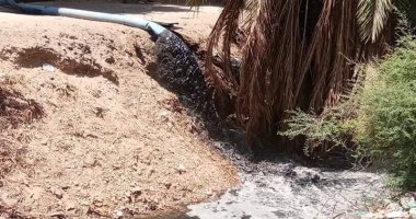 سيبها علينا.. قارئ يشكو انتشار مياه الصرف وسط الكتلة السكنية بالقلعية فى قنا