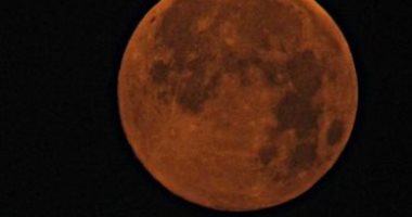 "شهد" تشارك اليوم السابع مجموعة من صورها فى المسابقات الدولية 