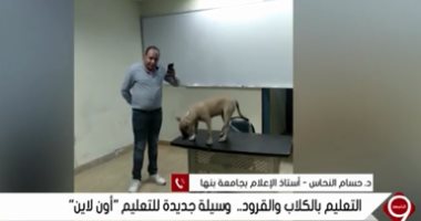 أستاذ إعلام يستنكر طريقة تعليم مدرس للنشء بالقرود والكلاب ويصفها بـ"المهزلة"