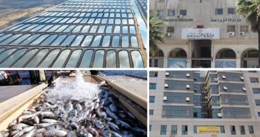 مصر تحقق أعلى إنتاجية سمك بـ1.9 مليون طن.. "الزراعة" توجه بالتوسع فى الاستزراع المكثف والتكاملى والأقفاص والقشريات.. وإزالة التعديات والاهتمام بالمصايد الطبيعية وإنشاء عدد من المفرخات البحرية
