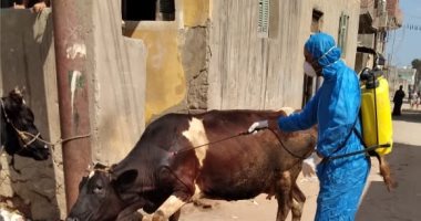 صور .. حملات رش جماعى وضبط 1100 عبوة أدوية بيطرية فى كفر الشيخ