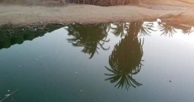 سيبها علينا.. شكوى من غرق قرية سلوا بحرى بأسوان بمياه الصرف الصحى