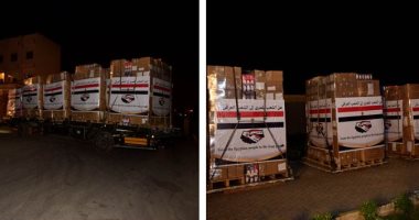 مصر ترسل مساعدات طبية للعراق لمواجهة أزمة كورونا بتوجيهات من الرئيس السيسي