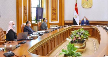 الرئيس السيسي يتابع التطورات التنفيذية للمشروع تطوير قرى الريف المصرى