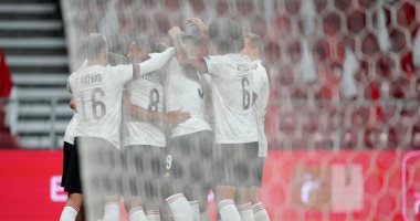 بلجيكا تتقدم بهدف على الدنمارك في الشوط الأول.. فيديو