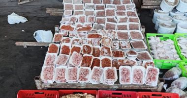 ضبط 750 كيلو لحوم ودواجن غير صالحة للاستهلاك الآدمى بمطعم فى دمياط الجديدة