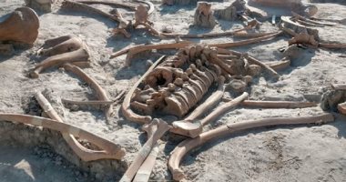 اكتشاف مئات الهياكل العظمية لحيوانات الماموث بموقع مطار مكسيكو الجديد