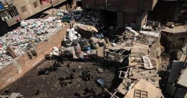 شكوى من تراكم القمامة فى شوارع العجوزة وأرض اللواء والدقى بالجيزة