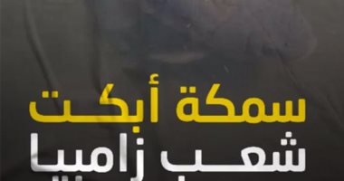 فيديو.. سمكة أبكت شعب زامبيا