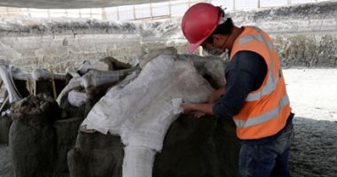 هياكل عظمية عملاقة..العثور على بقايا مخلوقات منقرضة بمطار مكسيكو سيتى
