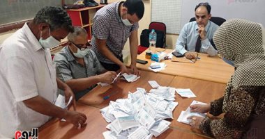 البيان الإحصائى للدائرة الخامسة بالشرقية : إعادة بين 4 مرشحين