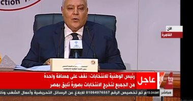 الهيئة الوطنية للانتخابات: إعلان نتيجة انتخابات مجلس النواب 14 ديسمبر 2020