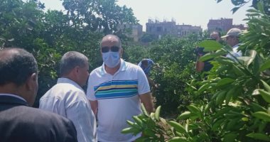 الزراعة تتوسع فى المنصات الإرشادية والتطبيقات الإرشادية لتوصيل المعلومات للمزارع