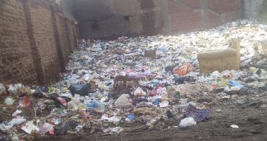 قارئ يشكو تراكم القمامة وانتشار الرائحة الكريهة فى شارع جمال زويل بالغربية