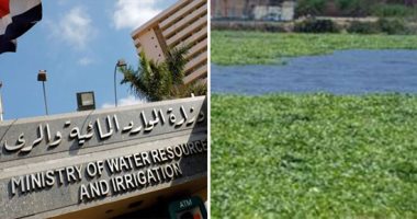 "الرى" تحذر من زراعة المحاصيل بالجزر النيلية وأراضى طرح النهر.. وتؤكد: المساحات المحيطة بالنيل جزء من قطاعه المائى.. وارتفاع المناسيب قد يؤدى إلى غمر الأراضى وتعريض المواطنين للخطر.. وغرفة عمليات لمتابعة الموقف